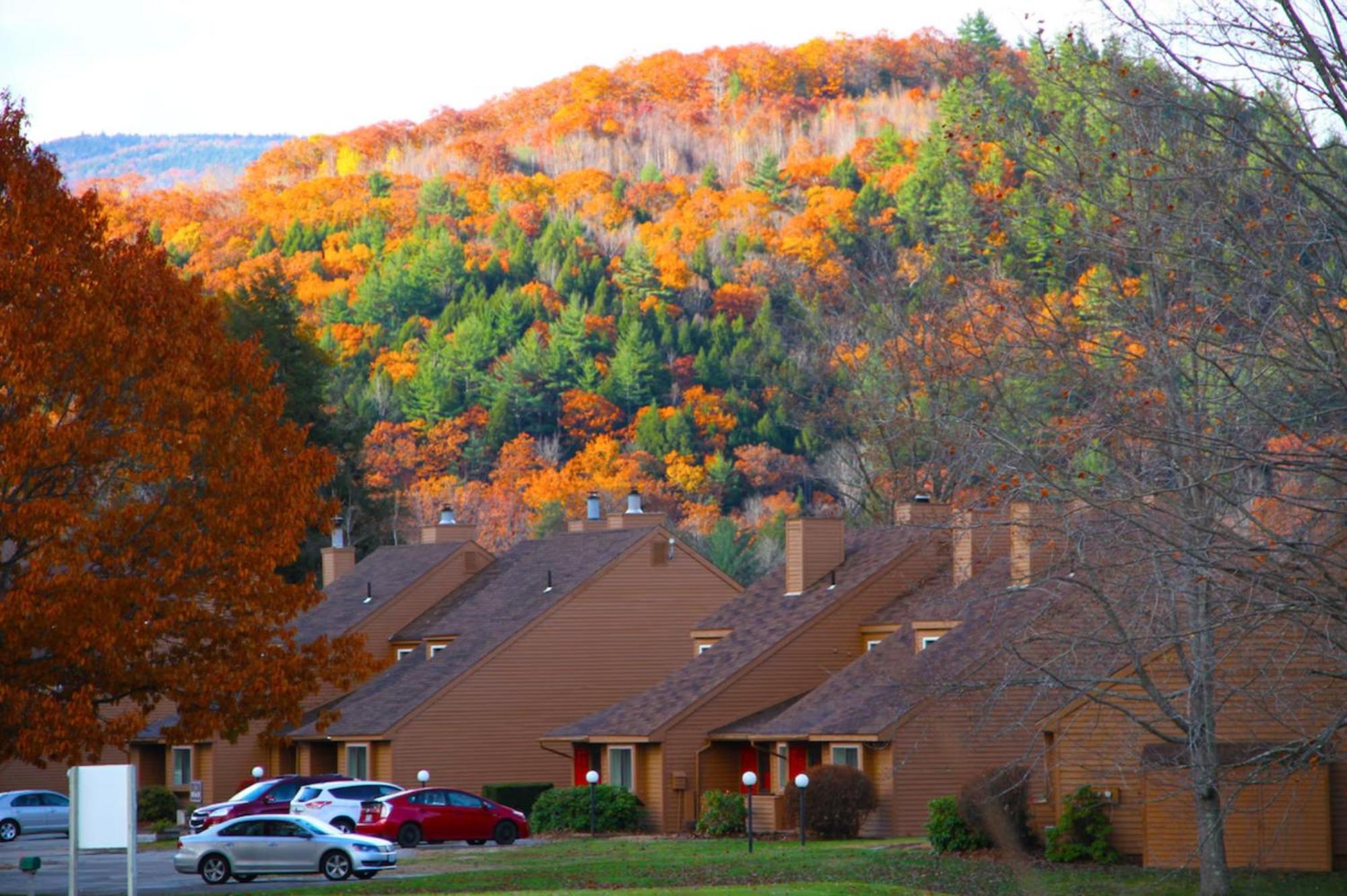 Cold Spring Plymouth Resort Ashland Extérieur photo